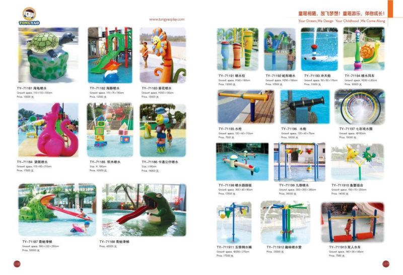 Plastic Slide Outdoor Playgroud Water Park (TY-71102)