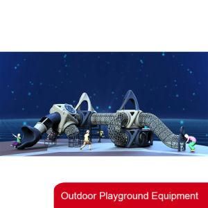 Commercial Outdoor Plastic Playground Children Slide Amusement Park for Sale