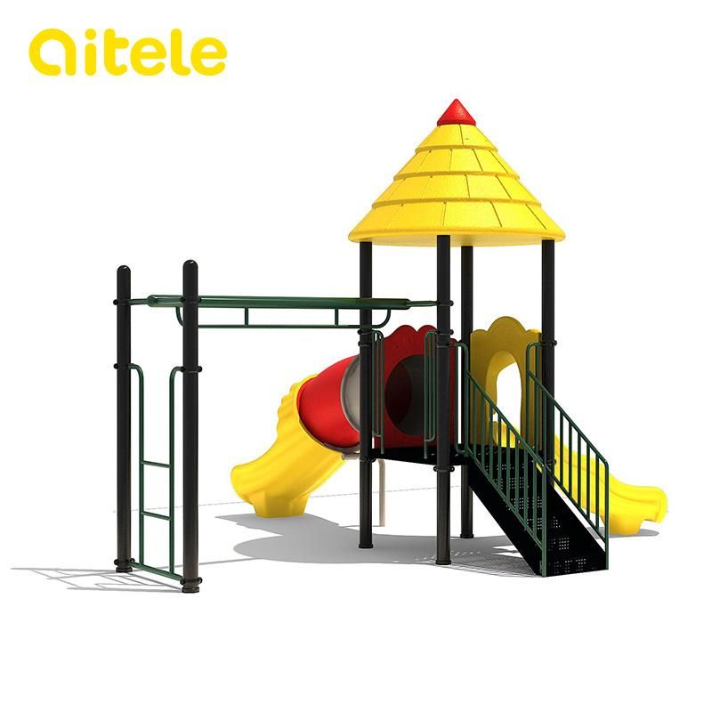 Outdoor Playground Equipment with Overhead Ladder