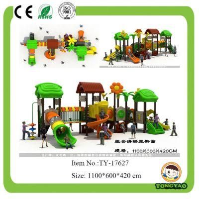 New Design Outdoor Playground Equipment for Children (TY-17627)