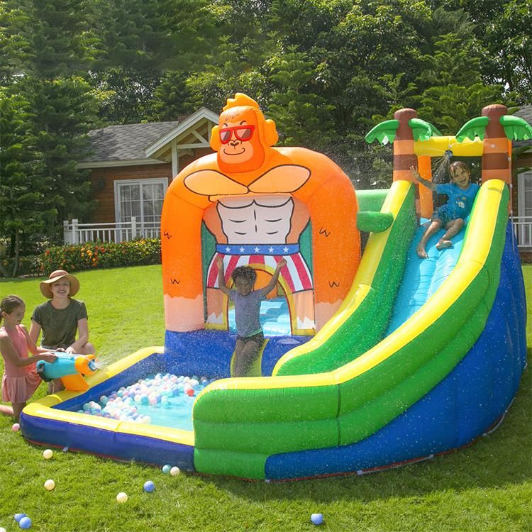Custom Slide Pool Inflatable Bouncer Castle for Children