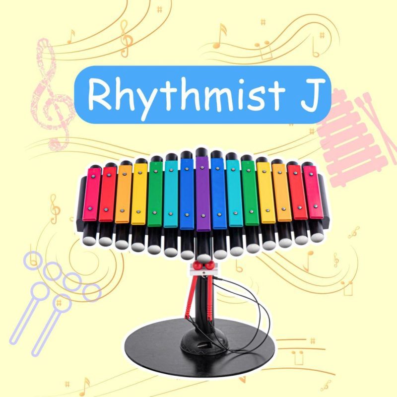 Rhythmist-E Children′s Funny Metallophone Outdoor Music Instrument Playground Equipment