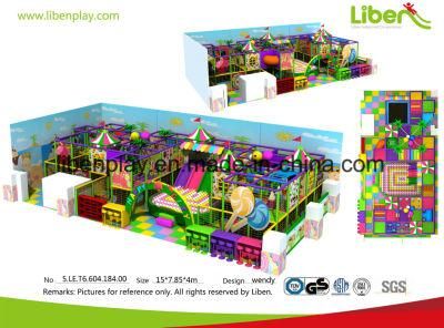 Ce High Quality Children Indoor Playground Equipment Made in China