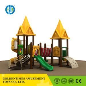 Fantastic Style Playground Equipment with High Quality for Wholesale