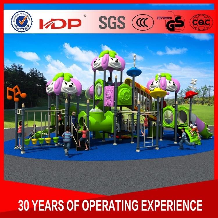 Environmental Friendly Children Outdoor Playground, Commercial Outdoor Playground Equipment Sale HD16-55A