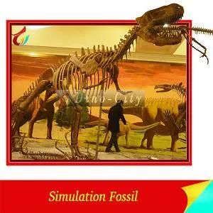 National Museum High Quality Realistic Dinosaur Skeleton (LCHS02)