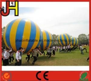 PVC Tarpaulin Inflatable Big Ball Game for Team Playing