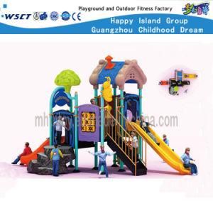 House Type Playground Equipment for Sale (HF-16301)