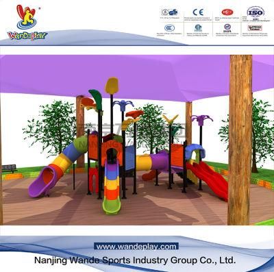 Wandeplay Tunel Slide Children Plastic Toy Amusement Park Outdoor Playground Equipment with Wd-16D0392-01b