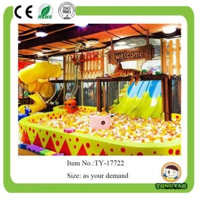 Multi-Function Luxurious Playground Indoor (TY-17722)