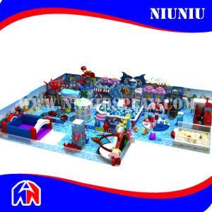 2016 Indoor Playground with Electric Dolphin Equipment
