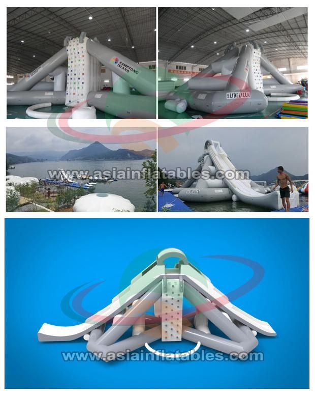 Custom Inflatable Dolphin Slide Water Auqa Park Slide