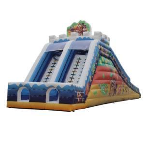 Customized Design Water Park Adult &amp; Kid Inflatable Pool with Slide
