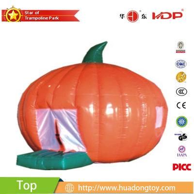 Advanced Technology Activity Hot Selling Inflatable