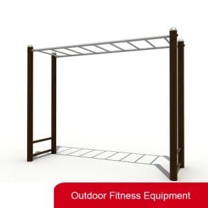 Galvanized Steel Outdoor Fitness Equipment Monkey Bars for Sale