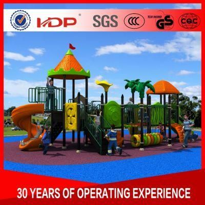 Acceptable Custom Amusement Park High Quality Outdoor Playground