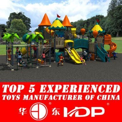 2017 Latest Large Outdoor Playground Equipment for Kids (HD14-100A)