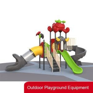 Commercial Outdoor Playground for Amusement Park with Ce