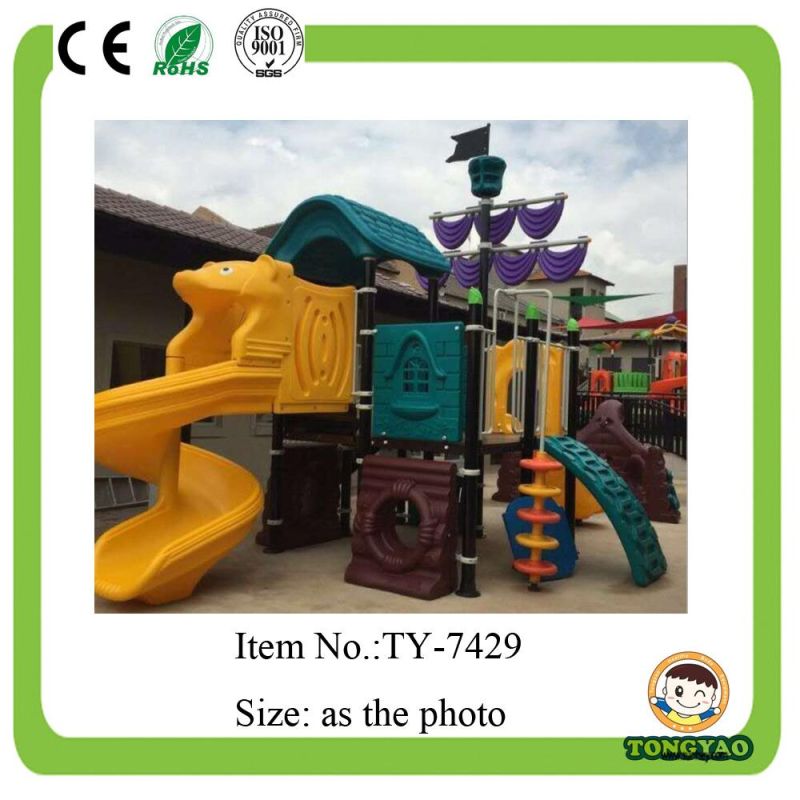 New Design Kid Playground Equipment for Children (TY-40516)