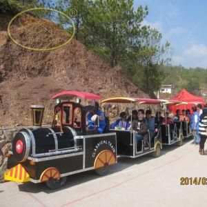 Amusement Park Rides Electric Track Train for Sale