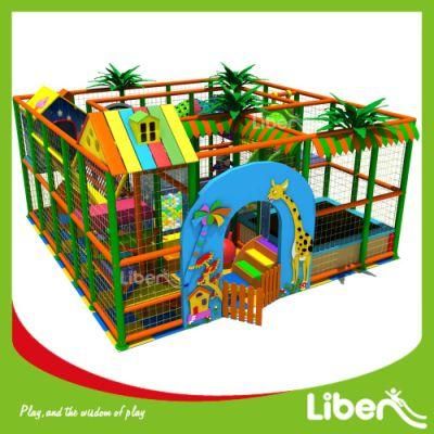 Funny Children Indoor Playground Center Made in China