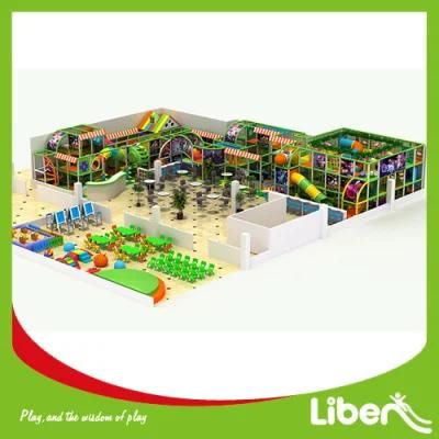 Novel Design Indoor Playground with Jungle Gym