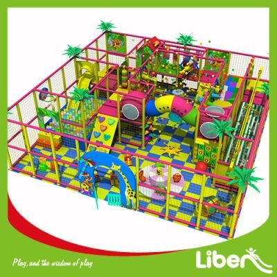 Amusement Children Themed Indoor Playground Equipment