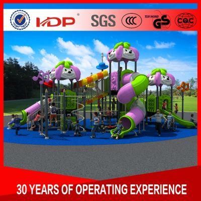 Environmental Friendly Children Outdoor Playground, Commercial Outdoor Playground Equipment Sale HD16-55A