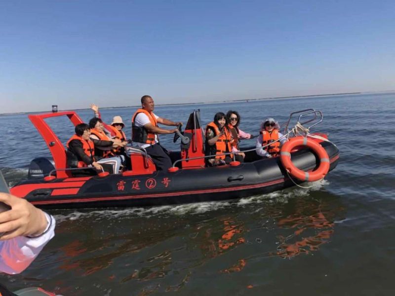 Rescue Boat /Hailun 520cm Rigid Inflatable Boat/ Fishing Boat/Rib520/River Rescue Boat