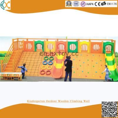 Kindergarten Children Wooden Playground with Plastic Slide and Climbing Wall