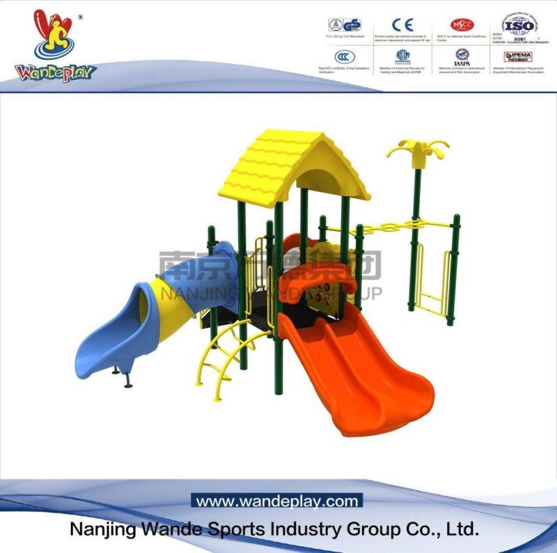 Wandeplay Amusement Park Children Outdoor Playground Equipment with Wd-Zd019