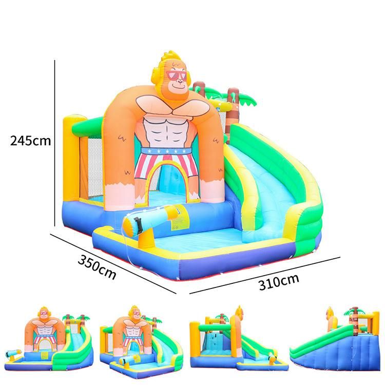 Custom Slide Pool Inflatable Bouncer Castle for Children