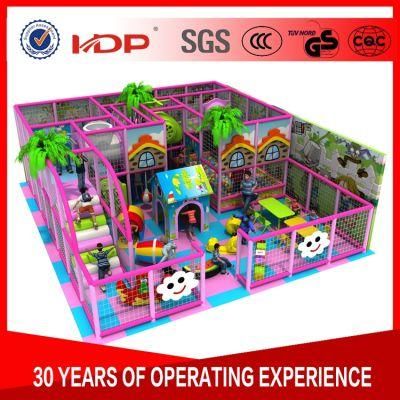 Multifunctional Indoor Playground Flooring, Cute Indoor Playground Equipment
