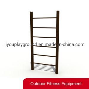 2020 Outdoor Vertical Ladder Gym Fitness Equipment
