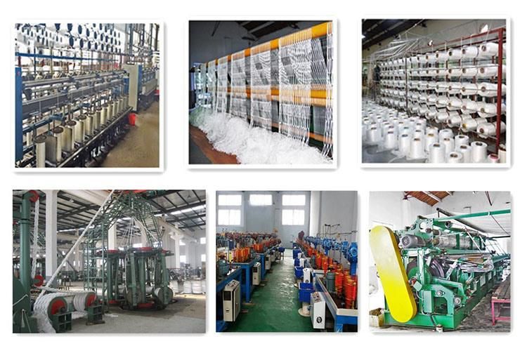 Wholesale PP String Monofilament Safety Net