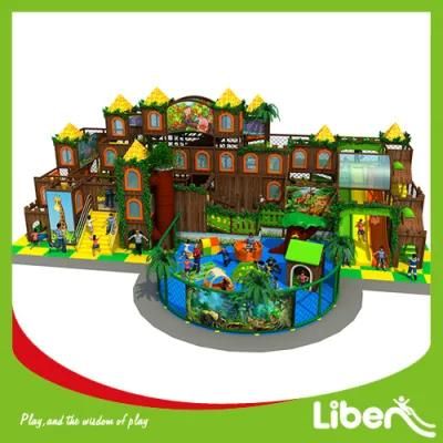 Indoor Playground with Jungle Gym with Best Service