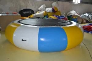 Inflatable Water Park Trampoline Combo with Slide for Adult