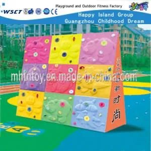 Kids Outdoor Play Equipment Climbing Playground (HF-19308)