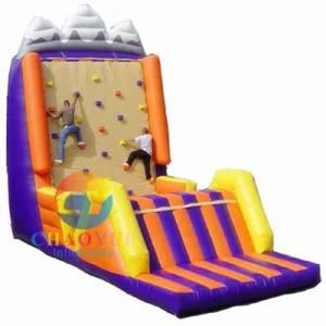 Outdoor Rock Inflatable Climbing Wall with Ce Blower