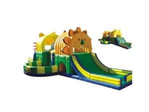 Inflatable Bouncer (2012-197C)