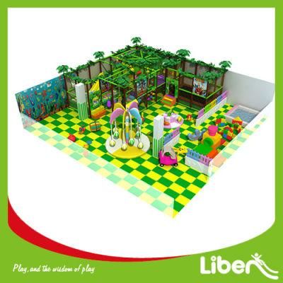Jungle Gym Special Needs Indoor Playground Equipment