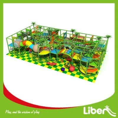 Made in China Jungle Theme Large Indoor Playground Amusement Park