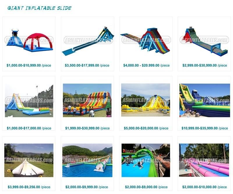 PVC Tarpaulin Inflatable Amusement Park with Slide, Inflatable Land Water Park on Land